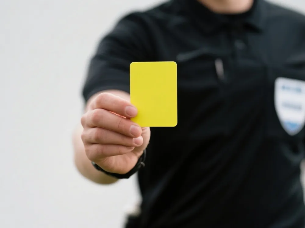 红黄牌数据示意图